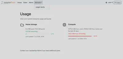 The usage dashboard can be found from the hub home page navbar under *Services > usage-quota* menu.