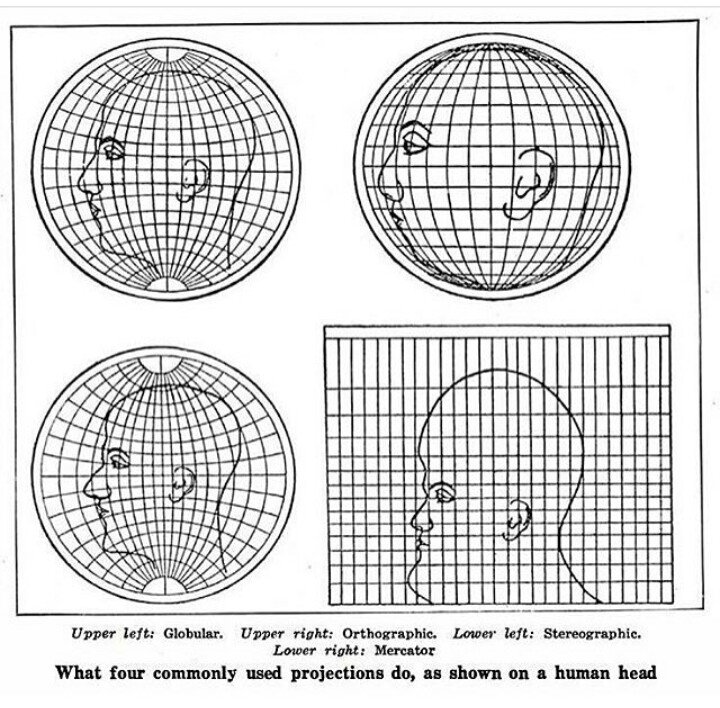 How projections distort a human head